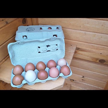 Neu! Landhaus Ostfriesenruhe Berumbur 外观 照片